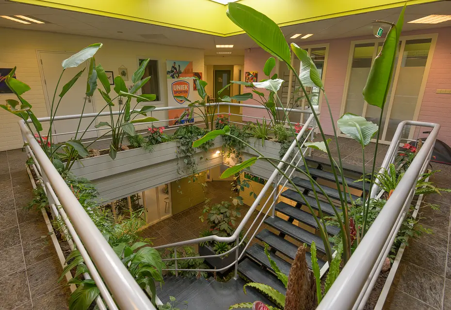 Plantenadvies op maat